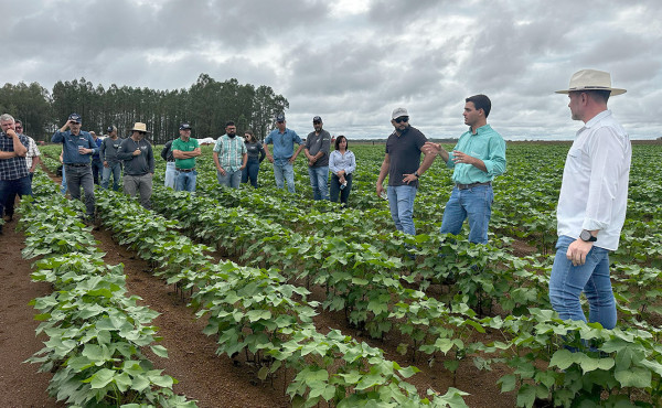 Na região oeste do estado, Governo do Tocantins apresenta aos produtores rurais tecnologias de ponta para o cultivo de grãos Na região oeste do estado, Governo do Tocantins apresenta aos produtores rurais tecnologias de ponta para o cultivo de grãos