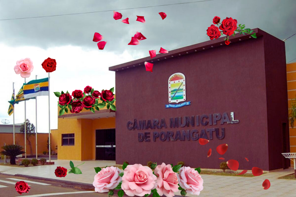 Câmara de Porangatu pretende gastar R$ 27 mil com flores em 2025
