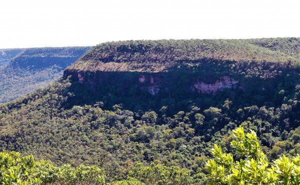Governo do Tocantins cria comissão estadual de validação e acompanhamento de pagamento por serviços ambientais Governo do Tocantins cria comissão estadual de validação e acompanhamento de pagamento por serviços ambientais