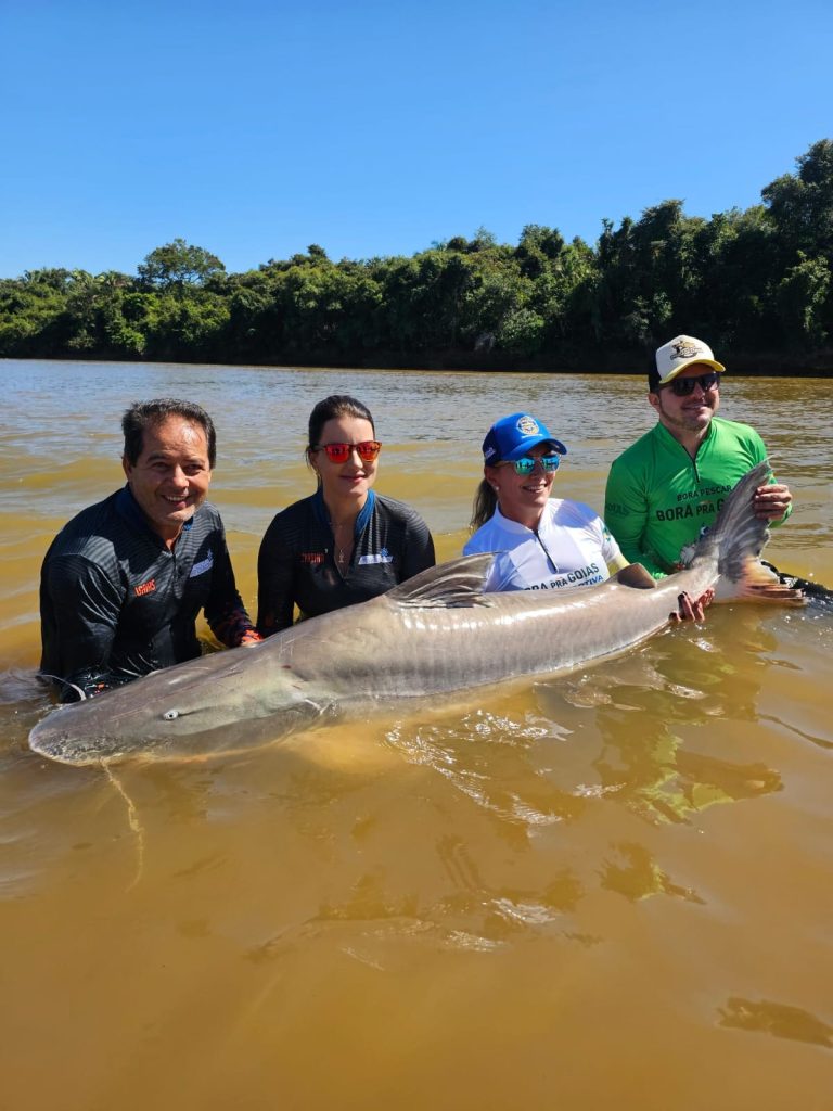 Aruanã abre campeonato da pesca esportiva Circuito Gigantes do Araguaia Aruanã abre campeonato da pesca esportiva Circuito Gigantes do Araguaia