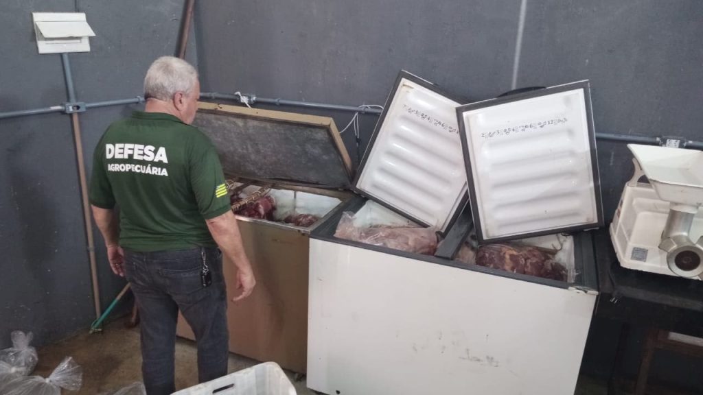 Fábrica clandestina em Anápolis mantinha carne de cavalo