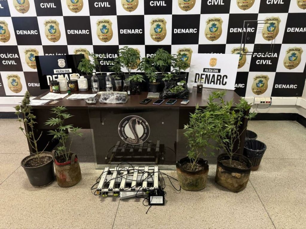 PC fecha laboratório de maconha usado para produção de shampoo