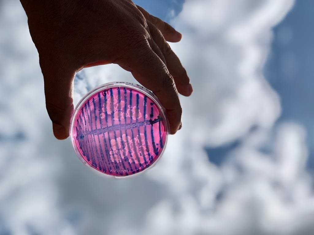 Programa Estadual de Bioinsumos será atualizado Programa Estadual de Bioinsumos será atualizado