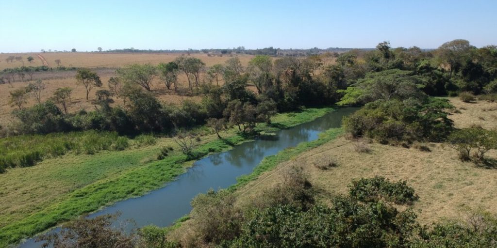 Meio Ambiente divulga edital para gestão de fundos e recursos
