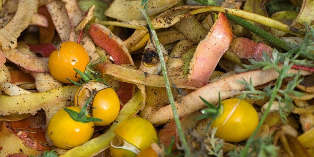 Meio Ambiente lança Guia de Compostagem