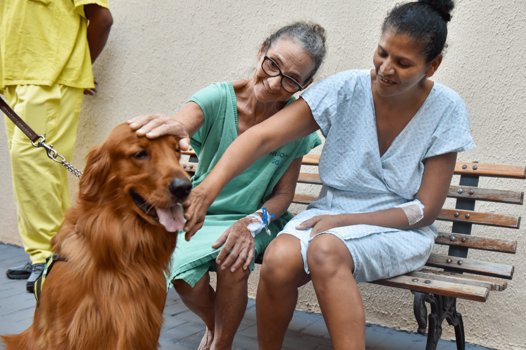 Pacientes do Hugol recebem visita de cães terapêuticos