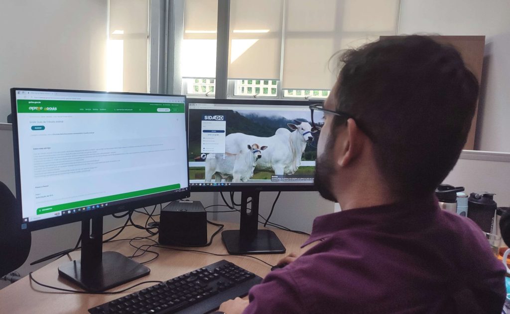 Pecuaristas devem fazer declaração de rebanho a partir de 1º de maio