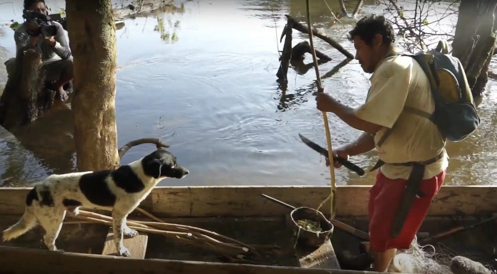 Filmes do Fica serão exibidos no Canal Saúde Filmes do Fica serão exibidos no Canal Saúde