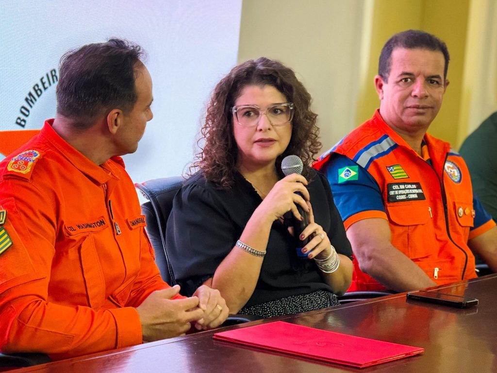 Goiás já trabalha na prevenção de incêndios florestais