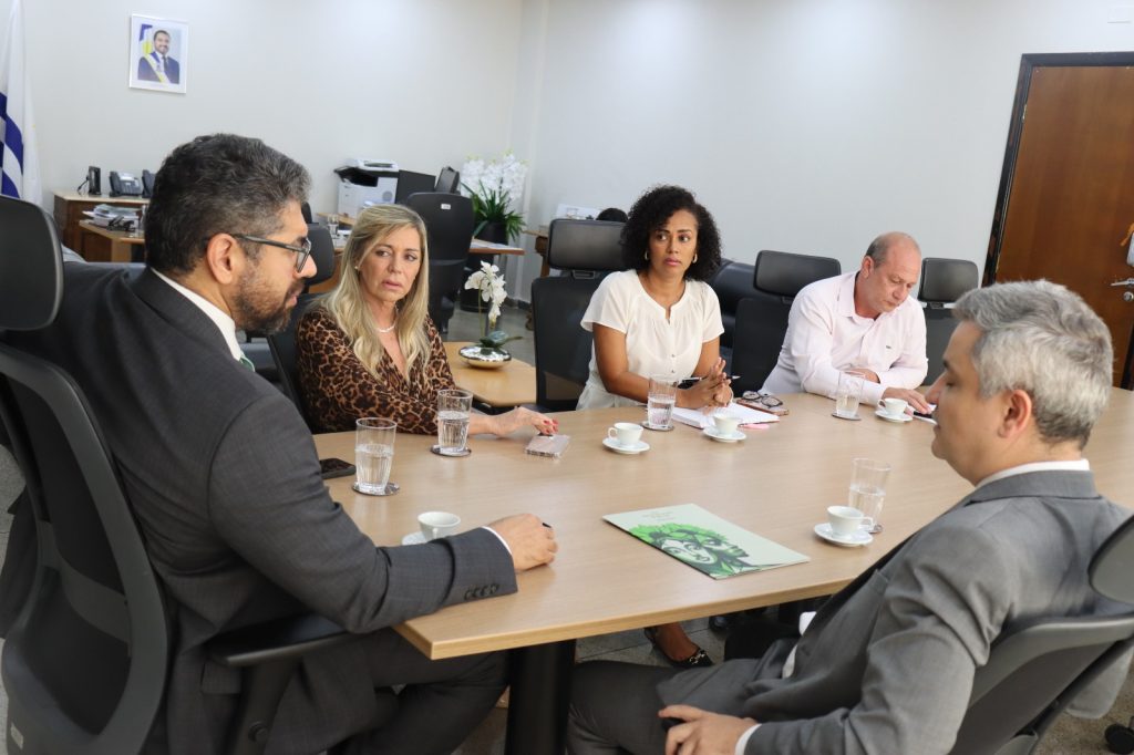 Segurança Pública e Defensoria iniciam tratativas para emissão da Carteira de Identidade Nacional a assistidos da DPE/TO