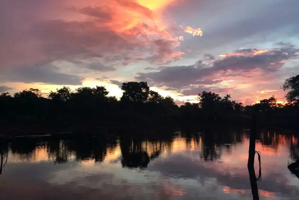 Semad divulga resultado preliminar do PSA Cerrado em Pé