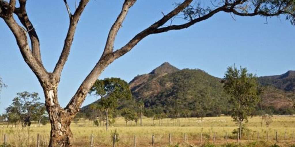 Semana do Meio Ambiente será nos dias 4 e 5 de junho