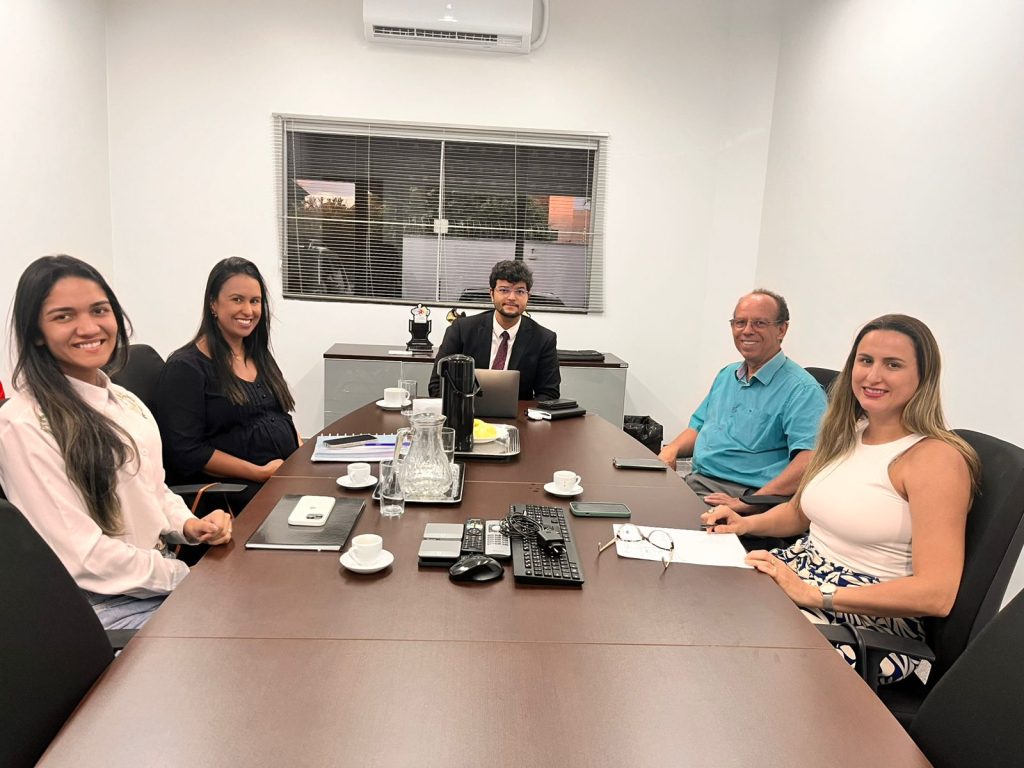 MPTO promove reunião interinstitucional para fortalecer acolhimento familiar e garantir entrega legal de crianças à adoção