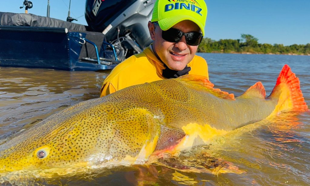 Empresário de Porangatu fisga pirarara de mais de 50 kg com equipamento leve no rio Araguaia