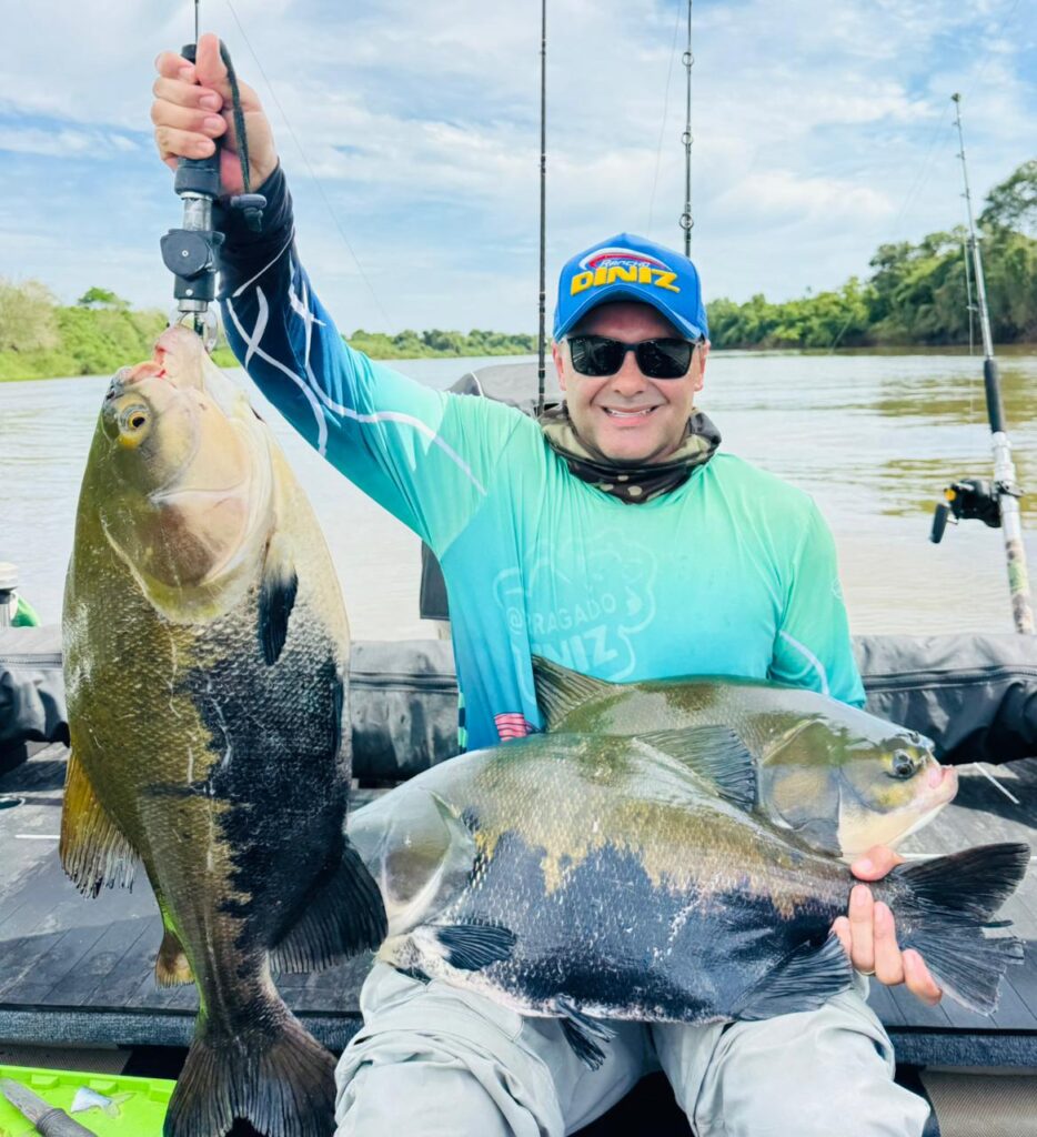 Pescador de Porangatu repete feito e captura gigantes do Rio Araguaia Pescador de Porangatu repete feito e captura gigantes do Rio Araguaia
