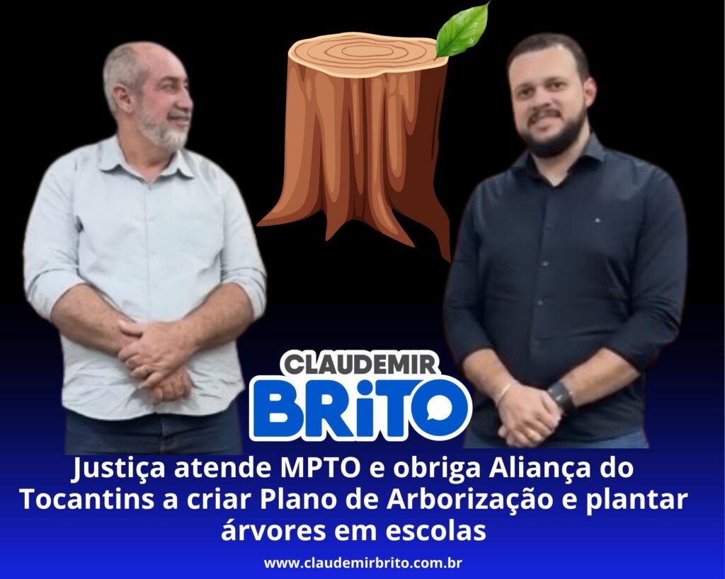 Justiça atende MPTO e obriga Aliança do Tocantins a criar Plano de Arborização e plantar árvores em escolas